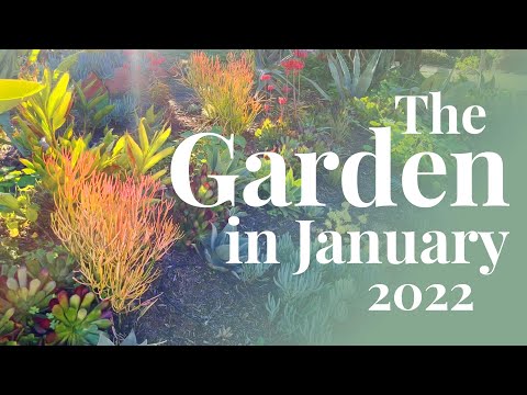 Video: Miti zhavorr i Xeriscaping - Gardening Know How