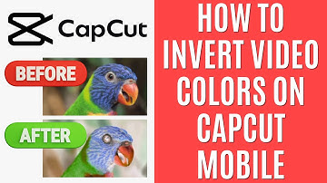 How to Invert Video Colors on CapCut Mobile [Quick Guide]
