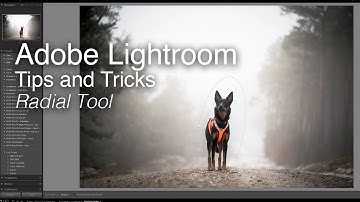 Wex Tips and Tricks | Adobe Lightroom - Radial Tool