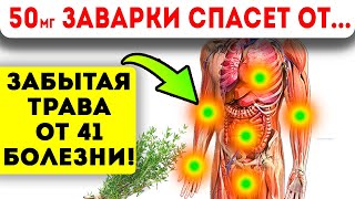 ТРАВА ВМЕСТО ЛЕКАРСТВ! Суставы, глисты, желудок, поджелудочная, радикулит, остеохондроз и даже...