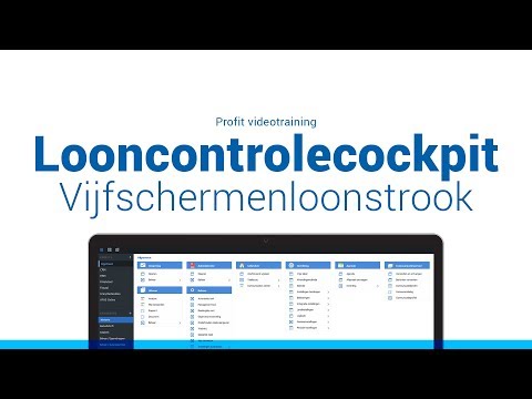 Looncontrolecockpit / Vijfschermenloonstrook