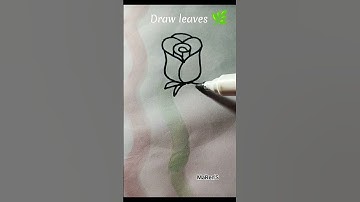Easy rose flower drawing for beginners step by step❤️🥰🌹🥀 #rose #drawing #shorts