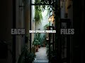 From Blank Yard to Living Canvas