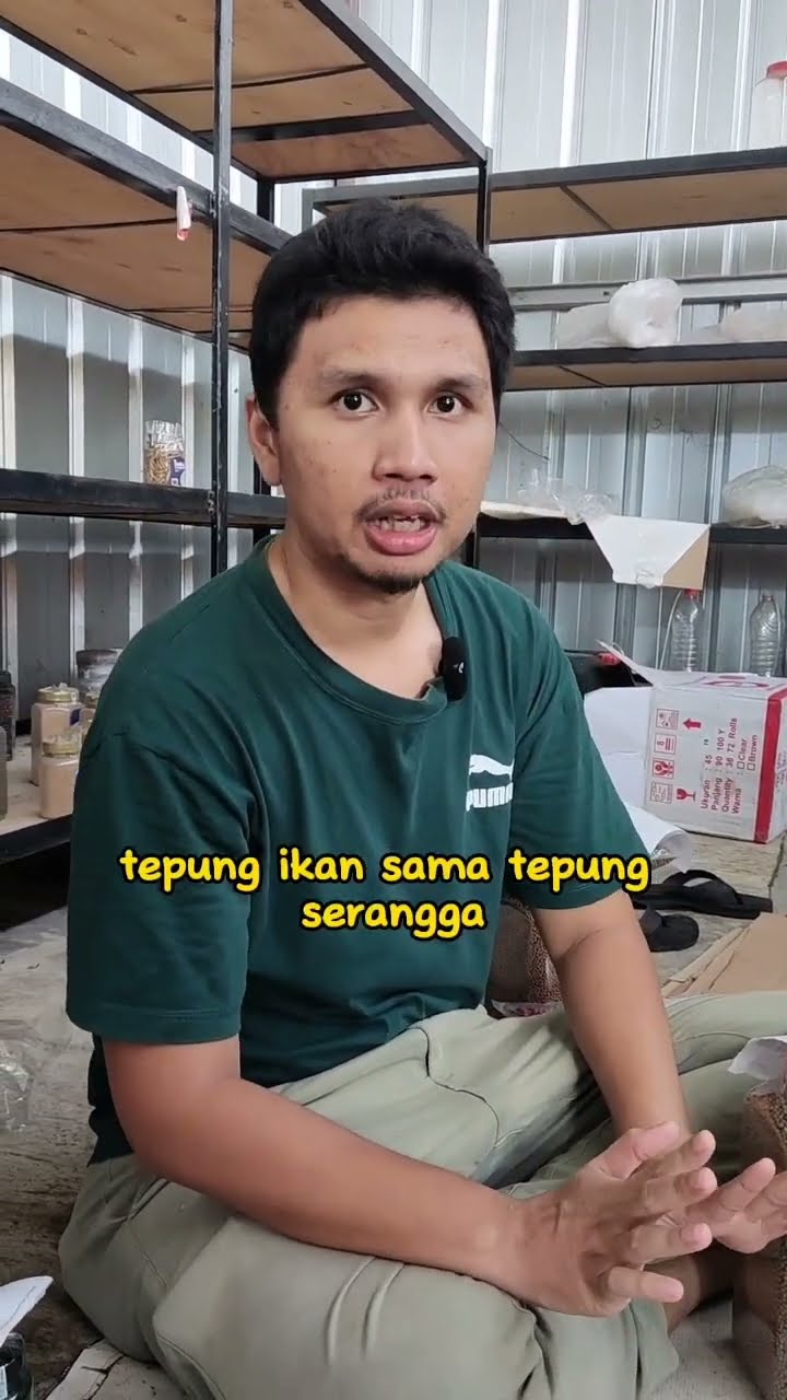 Mengoptimalkan Pendapatan: Menggunakan AdSense di Situs Web yang Sudah Memiliki Monetisasi Lain (MCN)