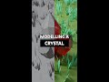 How To Model A Crystal in Blender - Beginner Tutorial #shorts