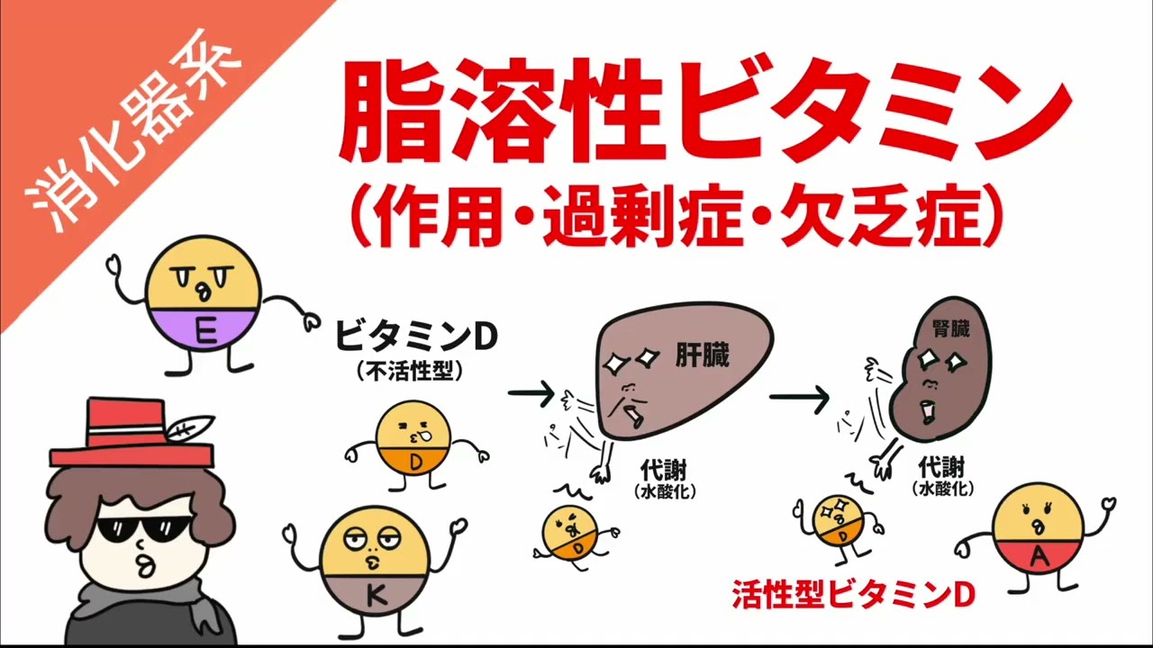 脂溶性ビタミン（作用・過剰症・欠乏症）