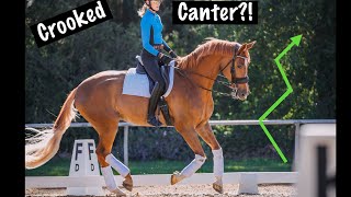 How Do You Fix A Crooked Canter?