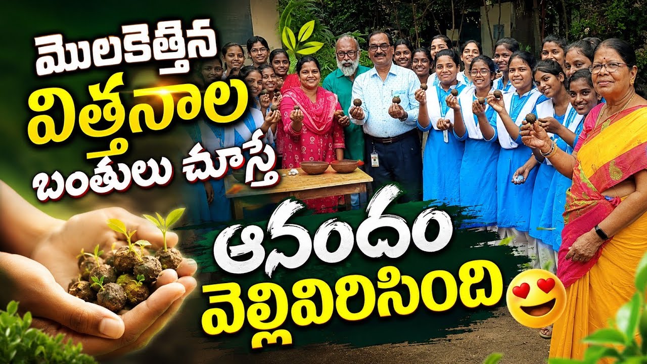 మొలకెత్తిన విత్తనాల బంతులు చూస్తే ఆనందం వెల్లివిరిసింది #vvwnews #news #ysrcptrolls #ytshorts