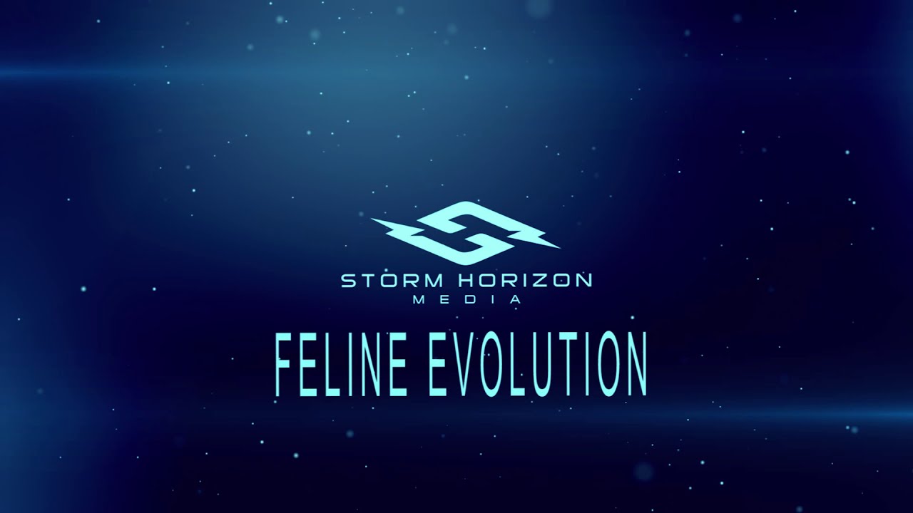 FELINE EVOLUTION PROMO YouTube