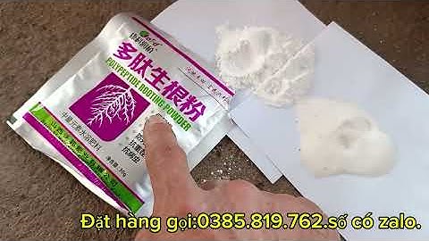 Kích rễ cực mạnh kích rễ cây trồng dâm hom vườn ươm mầm kích rễ cây cảnh cây bon sai vườn cây ăn quả