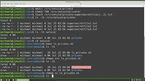 Linux Command Line (25) setuid