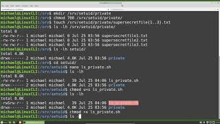 Linux Command Line (25) setuid