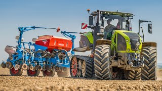 Sejba slnečnice 2024 | Claas Axion 960 TerraTrac | Monosem Monoshox NX M