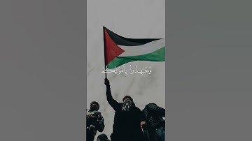 اكتب شيء تؤجر عليه | سورة التوبة الآية 41 القارئ محمد اللحيدان