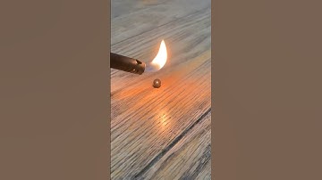 Torching an engorged deer tick crawling on my house floor 🫣