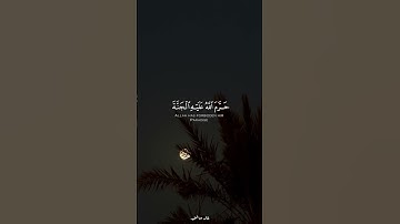 القارئ الشيخ ياسر الدوسري | سورة مريم
