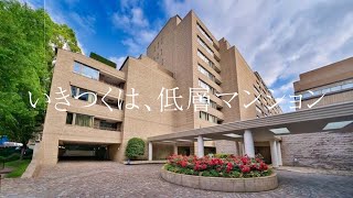 過去最高額、坪単価1500万円のフルリノベーション完成！都会での暮らしで行き着くのは高級低層マンション。「住みやすさを追及したザ・ハウス南麻布1SLDKお部屋のご紹介」