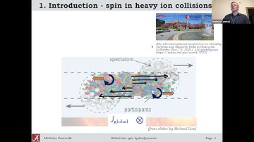 Matthias Kaminski -- Relativistic spin hydrodynamics with torsion