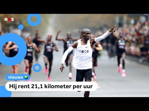 Video: Zwerfhond Loopt Geïmproviseerde Halve Marathon Naast Hardlopers En Verdient Medaille