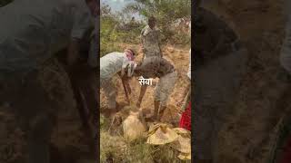 River Cleanup Mission 🌍 Teamwork for a Cleaner Future #Shorts #shortvideo #seva #badwara #todaynews