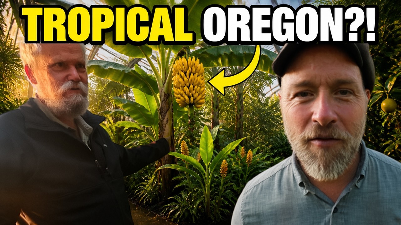 Oregon Man Grows Bananas (+Tropical Fruit) In 27°F