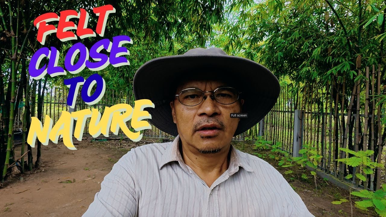 Life in the Countryside - YouTube