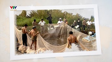 KUMT - NHỚ LẮM MÙA CHỤP ĐÌA, BẮT CÁ | VTV CẦN THƠ