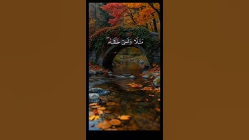القرآن الكريم راحة نفسية #قرآن #قرآن_كريم #اكسبلور #ترند #لايك #تيك_توك #video #viral #fy #foryou