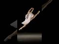 ЁЯФеRachel S Firebird ЁЯШ Shorts Ballet Slowmotion Sharkcookie Photography ЁЯФеRachel S Firebird ЁЯШ Shorts Ballet Slowmotion Sharkcookie Photography