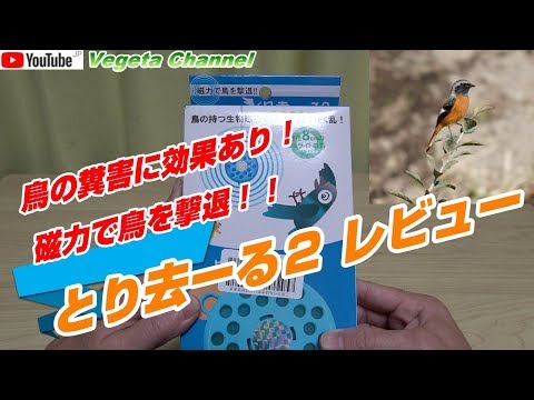 鳥の糞害に効果あり！磁力で鳥を撃退！！とり去ーる２ レビュー