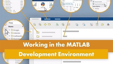 Working in the MATLAB Development Environment