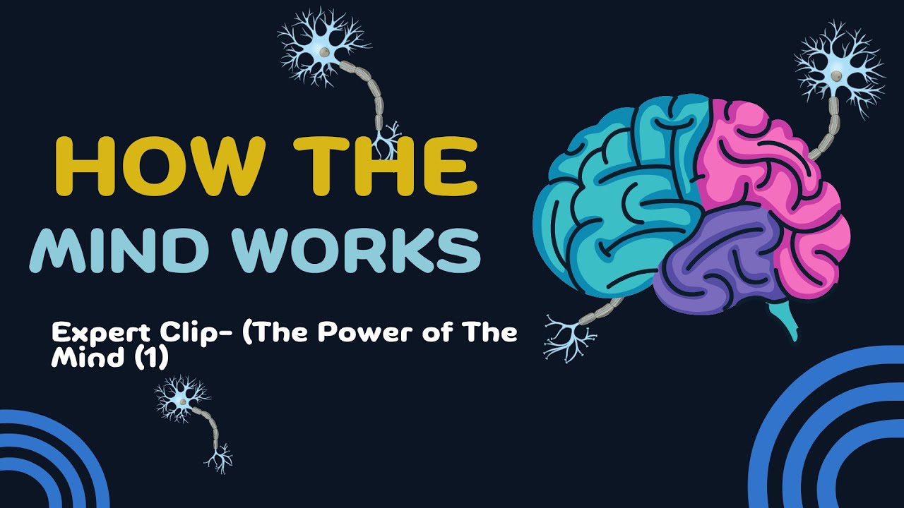 The Hidden Power of Your Mind | How the Mind Really Works - YouTube