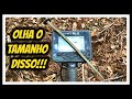 O MAIOR PREGO que já vi! / Detector de metais / 金属探知機
