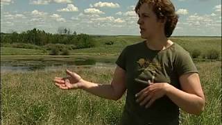 DownloadOverview of SDNWA MP3 MP4 Overview of SDNWA