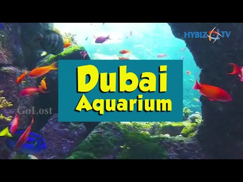 The Lost Chambers Aquarium Dubai