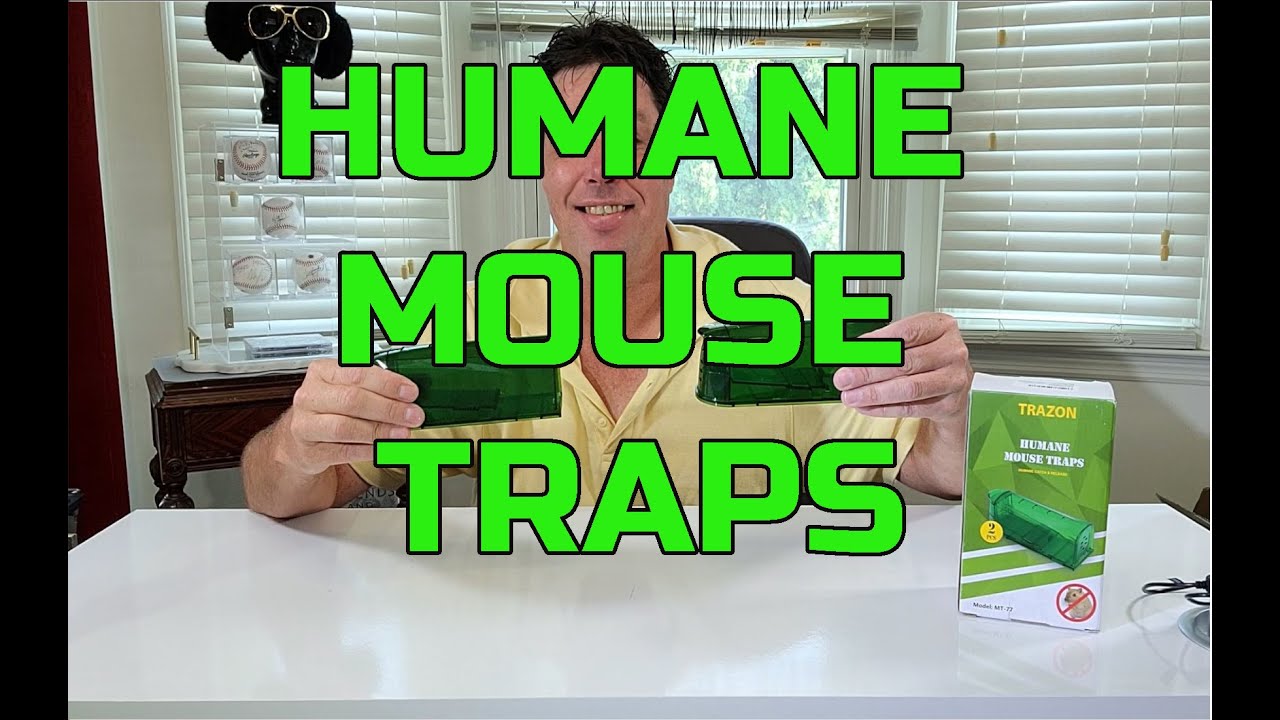 Mouse Traps Indoor for Home, Humane Mouse Trap (Green)