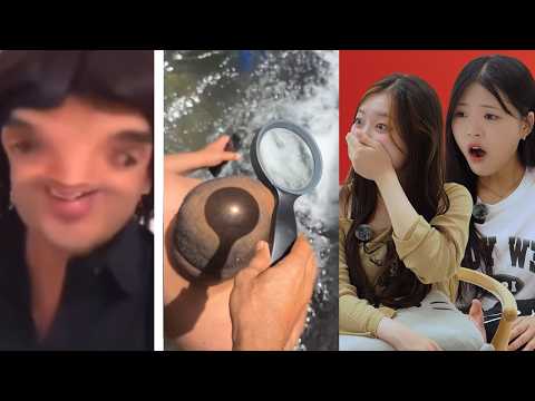 Korean React to Funny Memes v10