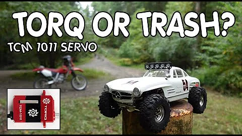 Trying a TORQ servo for my SCX24