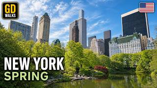 NYC Spring Walk - Central Park to Times Square | 4K Walking Tour 🇺🇸
