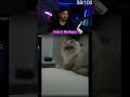 KATZE wirft Glas auf Boden 😱 #Katze #Funny #Katzenvideos #Clips #Viral