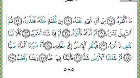 سورة عبس 80 سعد الغامدي