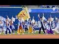 横浜よさこい祭りの選抜チームが横浜スタジアムに登場