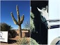 Paisagem do Arizona - Fronteira com o Mexico - Vlog18rodas - EP05/16