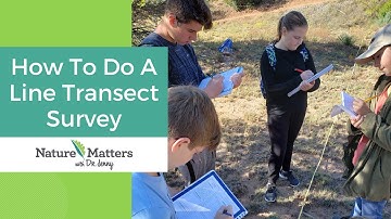 How to Do a Line Transect Survey - Nature Matters Academy