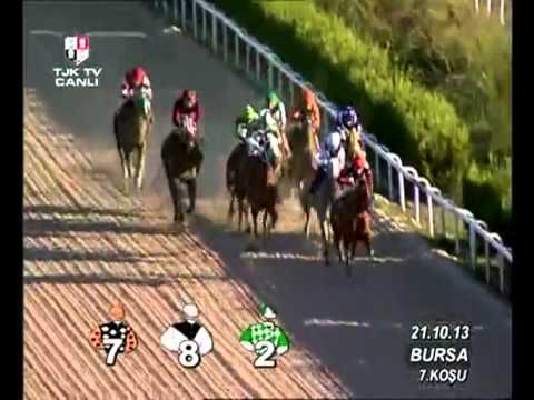 Bursa Hipodromu (59. Yarış Günü) 7. Koşusu - YouTube