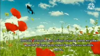 Download Lagu Butterfly - Melly Goeslaw ft Andhika || Butterfly terbanglah tinggi setinggi anganku, untuk meraihmu MP3