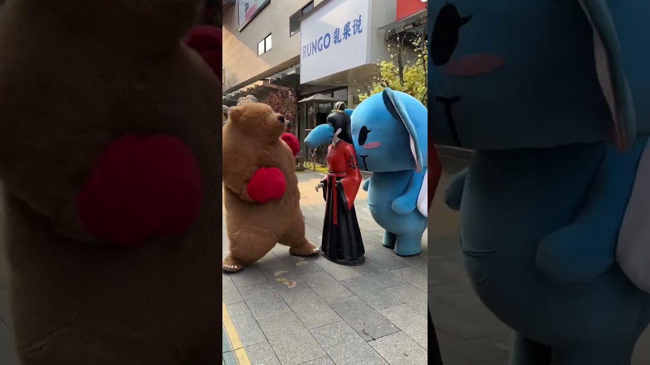 The poor elephant and the wandering bear