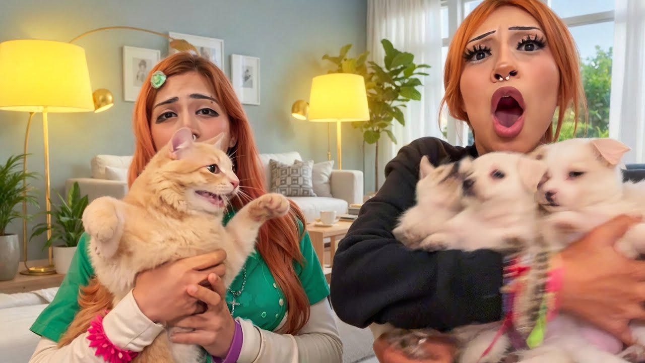 МОИ 5 ЩЕНКОВ ЗНАКОМЯТСЯ С КОШКОЙ МОЕЙ СЕСТРЫ… ВСЕ ПОШЛО НЕ ТАК