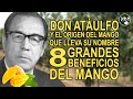 Don Atáulfo y el Origen del Mango Mexicano que lleva su nombre – 8 grandes beneficios del Mango