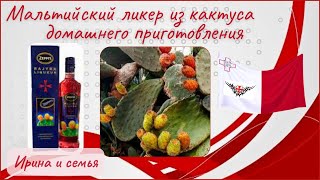 Готовим дома ликер из плодов кактуса. Простые рецепты.